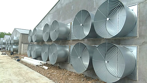 成熟妇人A片免费看网站