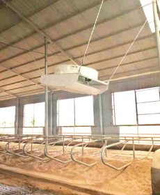 杰诺赛科龙式牛舍风机