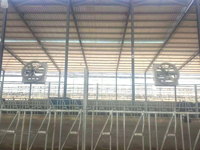 杰诺赛科龙式牛舍风机