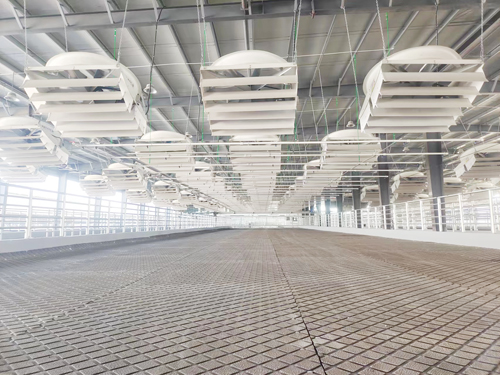 赛克龙牛舍风扇，牛舍风机