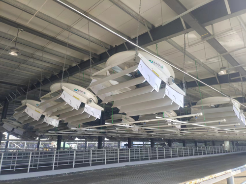 赛克龙牛舍风扇，牛舍风机