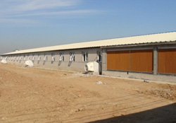 猪舍风机湿帘通风降温系统