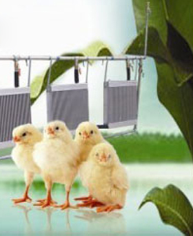 杰诺系列加温机